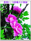 Published on 5/13/2011 ֹ,½󷨵Ӻʦ𻪵߷ִգ21 - ִ

