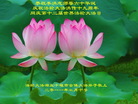 Published on 5/13/2011 ֹ,½󷨵Ӻʦ𻪵߷ִգ17 - ִ
