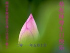 Published on 5/14/2011 ֹ,½󷨵Ӻʦ𻪵߷ִգ36 - ִ
