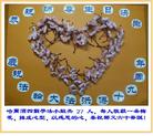 Published on 5/13/2011 ֹ,½󷨵Ӻʦ𻪵߷ִգ26 - ִ
