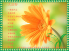 Published on 5/13/2011 ֹ,󷨵Ӻʦ𻪵߷ִգ120أ - ִ
