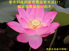 Published on 5/13/2011 ֹ,̫󷨵Ӻʦ𻪵߷ִ - ִ

