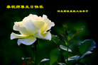Published on 5/13/2011 ֹ,ϵͳ󷨵Ӻʦ𻪵߷ִ - ִ
