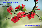 Published on 5/13/2011 ֹ,ҵ󷨵Ӻʦ𻪵߷ִ - ִ
