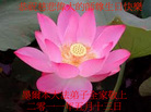 Published on 5/13/2011 ֹ,̫󷨵Ӻʦ𻪵߷ִ - ִ
