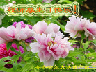 Published on 5/12/2011 ֹ,½󷨵Ӻʦ𻪵߷ִգ285أ - ִ
