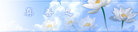 Published on 5/12/2011 ֹ,½󷨵Ӻʦ𻪵߷ִգ285أ - ִ
