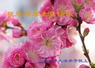 Published on 5/12/2011 ֹ,½󷨵Ӻʦ𻪵߷ִգ285أ - ִ
