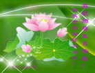 Published on 5/13/2011 ֹ,󷨵Ӻʦ𻪵߷ִգ145أ - ִ
