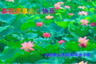 Published on 5/13/2011 ֹ,½󷨵Ӻʦ𻪵߷ִգ27 - ִ
