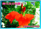 Published on 5/12/2011 ֹ,½󷨵Ӻʦ𻪵߷ִգ220أ - ִ
