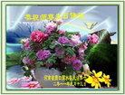 Published on 5/13/2011 ֹ,д󷨵Ӻʦ𻪵߷ִգ246أ - ִ
