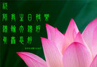 Published on 5/13/2011 ֹ,ϴ󷨵Ӻʦ𻪵߷ִգ160أ - ִ
