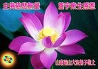Published on 5/13/2012 ֹ,½󷨵ӹش󷨺鴫ʮ(99) - ִ
