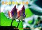 Published on 5/13/2012 ֹ,½󷨵ӹش󷨺鴫ʮ(94) - ִ
