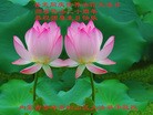 ֹ,󷨵Ӻʦ𻪵߷ִ - ִ
