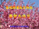 Published on 5/9/2013 ֹ,󷨵ӹʦ𻪵編ִգ15
