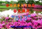 Published on 5/10/2013 ֹ,󷨵ӹʦ𻪵編ִգ16

