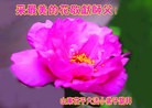 Published on 5/9/2013 ֹ,Сӹʦ𻪵編ִգ18
