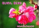 Published on 5/10/2013 ֹ,ϵͳ󷨵ӹʦ𻪵編ִգ18
