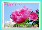 Published on 5/13/2013 ֹ,Ӵ󷨵ӹʦ𻪵߷ִ(23)
