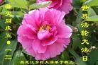 Published on 5/9/2013 ֹ,󷨵ӹʦ𻪵編ִգ18
