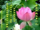 Published on 5/10/2013 ֹ,ҵ󷨵ӹʦ𻪵編ִգ42
