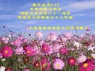 Published on 5/11/2013 ֹ,󷨵ӹʦ𻪵߷ִգ16

