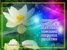 Published on 5/10/2013 ֹ,󷨵ӹʦ𻪵߷ִգ16
