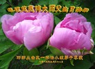 Published on 5/13/2013 ֹ,½󷨵ӹʦ𻪵߷ִ(39)
