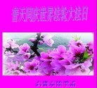 Published on 5/13/2013 ֹ,½󷨵ӹʦ𻪵߷ִ(39)
