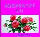 Published on 5/13/2013 ֹ,½󷨵ӹʦ𻪵߷ִ(39)
