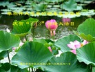 Published on 5/12/2013 ֹ,󷨵ӹʦ𻪵߷ִգ28
