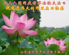 Published on 5/12/2013 ֹ,Ϋ󷨵ӹʦ𻪵߷ִգ30

