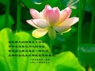 Published on 5/13/2013 ֹ,½󷨵ӹʦ𻪵߷ִ(48)
