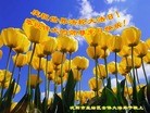Published on 5/12/2013 ֹ,󷨵ӹʦ𻪵߷ִգ26
