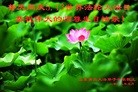 Published on 5/11/2013 ֹ,ൺ󷨵ӹʦ𻪵߷ִգ32

