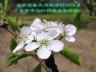 Published on 5/13/2013 ֹ,½󷨵ӹʦ𻪵߷ִ(43)
