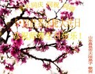 Published on 5/12/2013 ֹ,Ϋ󷨵ӹʦ𻪵߷ִգ30
