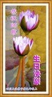 Published on 5/13/2013 ֹ,½󷨵ӹʦ𻪵߷ִ(39)
