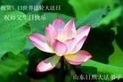 Published on 5/13/2013 ֹ,½󷨵ӹʦ𻪵߷ִ(39)
