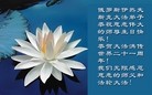Published on 5/12/2013 ֹ,˹󷨵ӹʦ𻪵߷ִ
