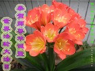Published on 5/13/2013 ֹ,½󷨵ӹʦ𻪵߷ִ(36)
