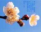 Published on 5/13/2013 ֹ,½󷨵ӹʦ𻪵߷ִ(39)
