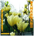 Published on 5/13/2013 ֹ,½󷨵ӹʦ𻪵߷ִ(32)
