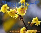 Published on 5/13/2013 ֹ,½󷨵ӹʦ𻪵߷ִ(34)
