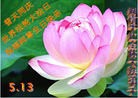 Published on 5/13/2013 ֹ,󷨵ӹʦ𻪵߷ִ(27)
