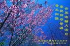 Published on 5/13/2013 ֹ,½󷨵ӹʦ𻪵߷ִ(53)
