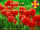 Published on 5/13/2013 ֹ,½󷨵ӹʦ𻪵߷ִ(53)
