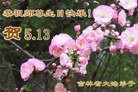 Published on 5/13/2013 ֹ,ʡ󷨵ӹʦ𻪵߷ִ(24)
